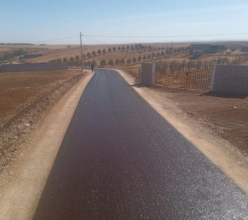 WhatsApp Image 2025-06-20 at 16.44.45